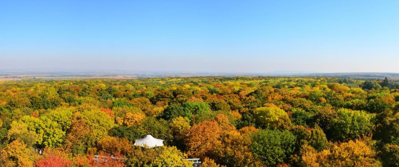 Schloss Goldacker - Das Schloss Der Gesundheit Weberstedt Esterno foto
